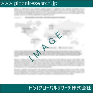 グローバルリサーチ調査資料のイメージ